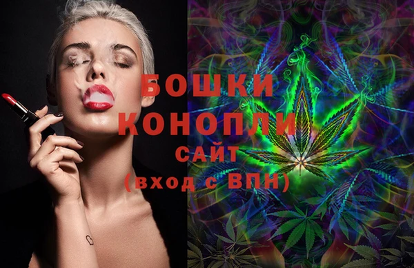 шишки Белоозёрский