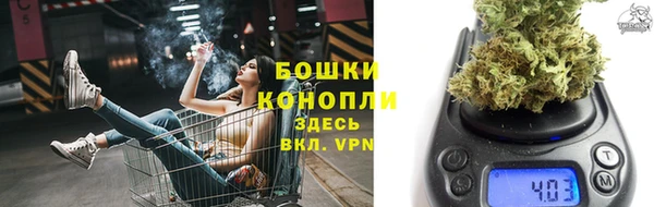 стаф Беломорск