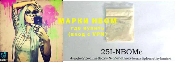 шишки Белоозёрский