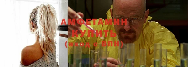 шишки Белоозёрский