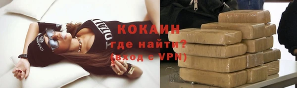 шишки Белоозёрский