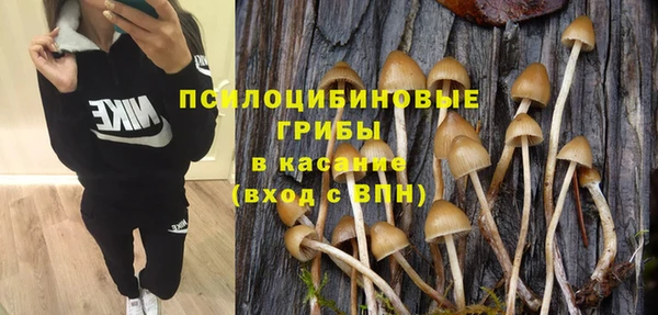 шишки Белоозёрский