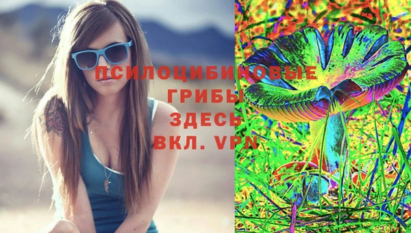 шишки Белоозёрский
