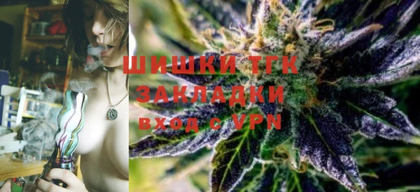шишки Белоозёрский